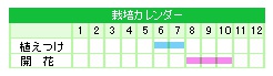 栽培カレンダー