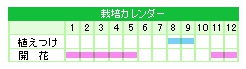 栽培カレンダー