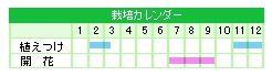 栽培カレンダー